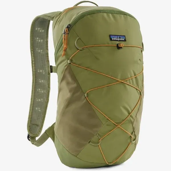 Patagonia Terravia Pack