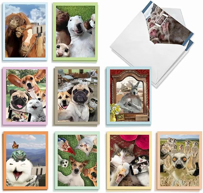 The Best Card Company - 20 Blank Note Cards with Envelopes 4 x 5.12 inch - All Occasion Animal Card Assortment 10 Designs, 2 Each - Animal Selfies