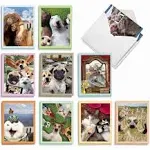 The Best Card Company - 20 Blank Note Cards with Envelopes (4 x 5.12 Inch) - All Occasion Animal Card Assortment (10 Designs, 2 Each) - Animal Selfies AM2373OCB-B2x10