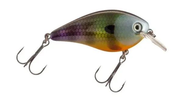 Strike King KVD 1.5 Square Bill Crankbait