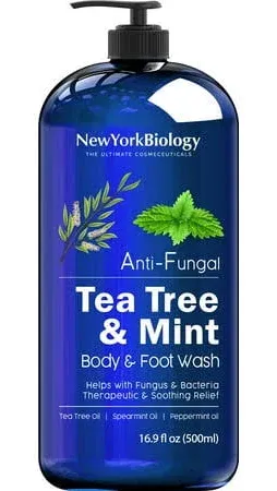 Tea Tree Mint Body Wash 16 fl. oz