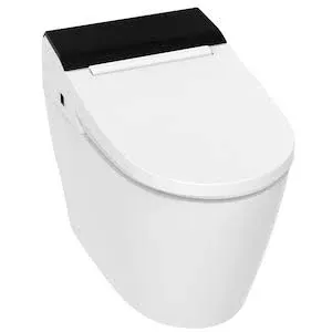  Smart Bidet Toilet for bathrooms, One Piece Integrated Toilet with TCB-8100W