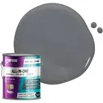 Beyond Paint  1 qt All-in-One Interior & Exterior Acrylic Paint - Licorice