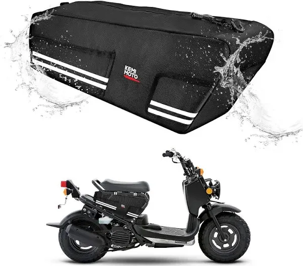 under Seat Storage Bag Compatible with Ruckus 2010-2024 Cling to the Side Frame 