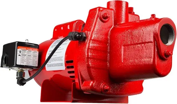 Red Lion 602207 Premium Cast Iron Shallow Well Jet Pump