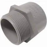 Cantex 2 in. D PVC Male Adapter For PVC 1 each