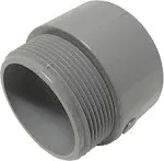 Cantex 2" PVC male Terminal Adapter