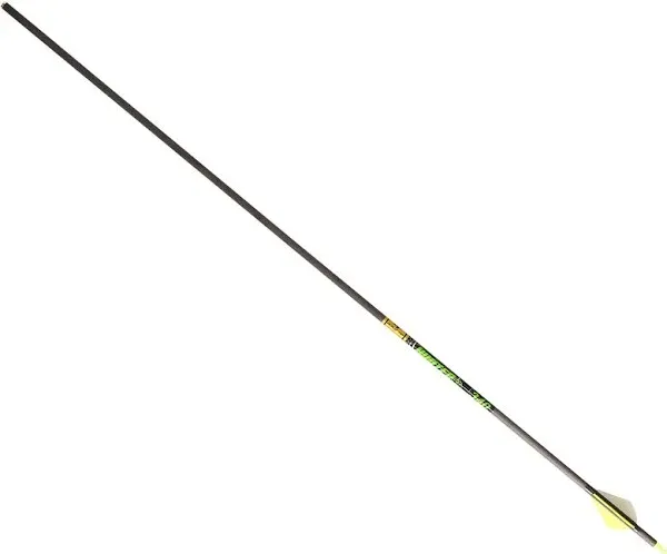 Gold Tip Hunter XT Arrows