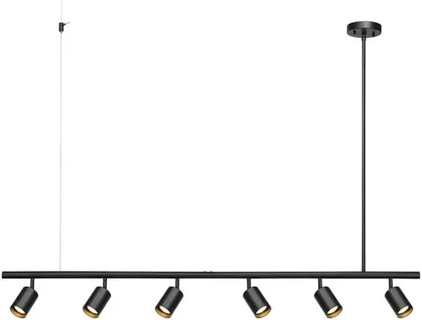 Globe Electric 64000123 55" 6-Light Adjustable Height Track Lighting