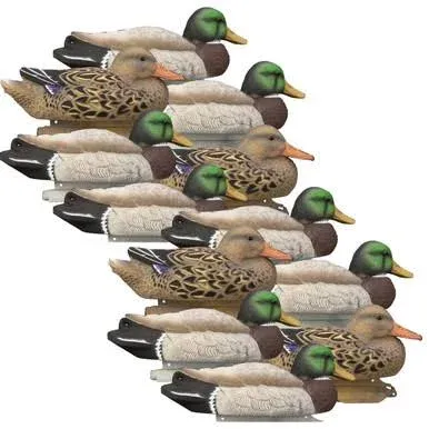 Higdon Standard Mallard Foam Filled Decoys