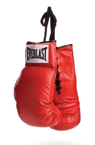 Everlast Autograph Vinyl Boxing Gloves