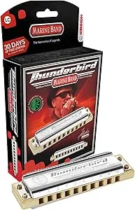 HOHNER M2011BX Thunderbird Harmonica, Key of Low A, Stainless steel (M2011BXL-A)