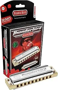 HOHNER Thunderbird Low Tuned Harmonica, Key of D (M2011BXLD)