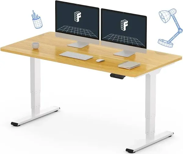 FLEXISPOT E6 Essential Standing Desk