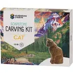 STUDIOSTONE CREATIVE DIY Arts & Crafts Carving Kit Kids Adults Cat Scu