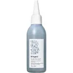 Briogeo Scalp Revival Rosemary Pre-Wash Oil - 3.4 fl oz