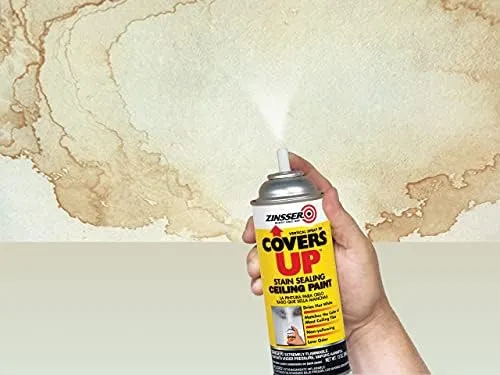 Zinsser Covers Up Ceiling Paint/Primer