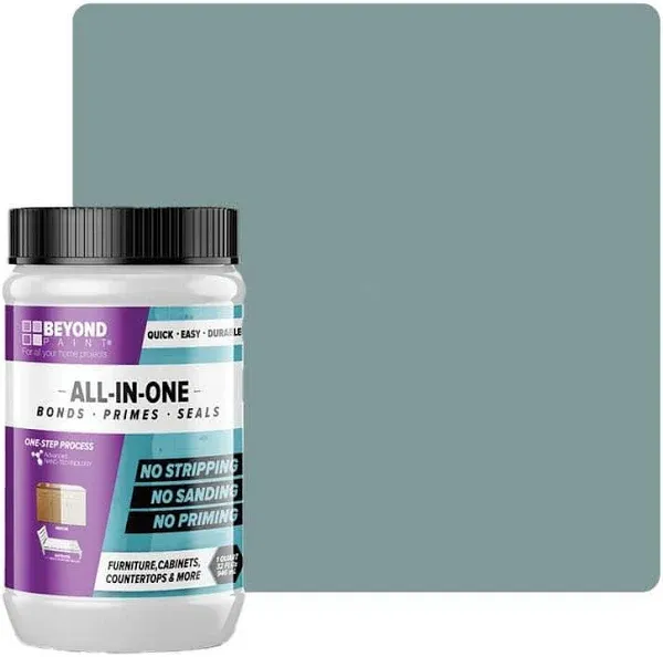 BEYOND PAINT All-In-One Interior/Exterior Acrylic Paint