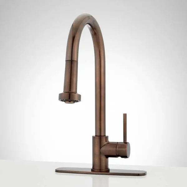 Signature Hardware Royden Pull Down Kitchen Faucet- Polished Brass