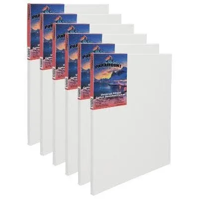 Paramount PRO Cotton Stretched Canvas, 11/16&#034;&#034; Deep (Box of 6)