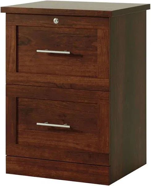 Realspace 2-Drawer Vertical File Cabinet