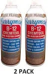 Berryman B-12 Chemtool Fuel System and Injection Cleaner - 15 oz can