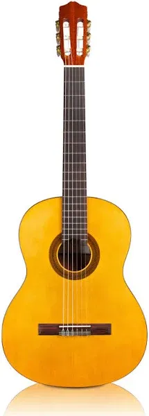 Cordoba Protege C1 Classical Guitar