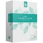 Neenah Vellum Bristol Cardstock, Lightweight, 4 Packs of 325 Sheets/1300 Sheets, 67 lb/147 gsm, 94 Brightness, 8.5" x 11" - MORE SHEETS! (91633-02)