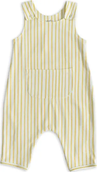 Baby Pehr Stripes Away Overalls