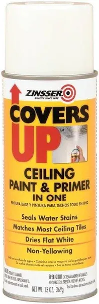 Zinsser Covers Up Ceiling Paint & Primer