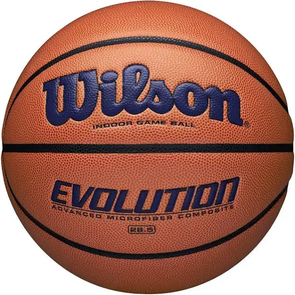 Wilson Evolution Game Basketball