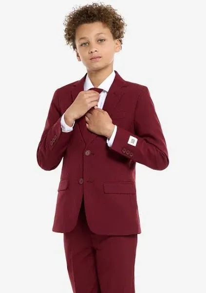 OppoSuits Blazing Burgundy Teen Boys Suit