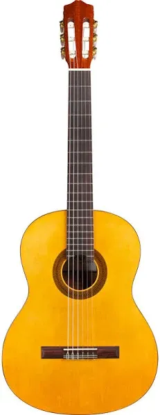 Cordoba C1 Protege Classical Guitar