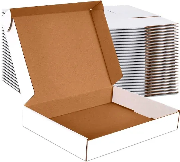 HORLIMER 13x10x2 Inches Shipping Boxes Set of 25, White Corrugated Cardboard Box Literature Mailer