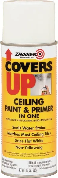 Zinsser Zinnser 03688 Covers Up Stain Sealing Ceiling Paint