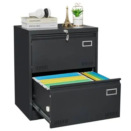 2 Drawer Metal Lateral File Cabinet with Lock