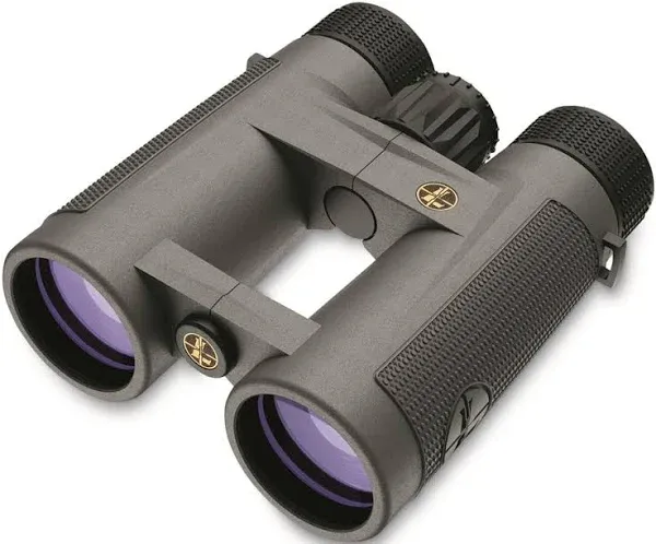 Leupold BX 4 Pro Guide HD