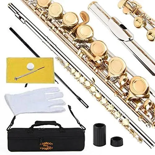 Closed Hole C Flute with Case Tuning Rod and Cloth Gloves Nickel Siver