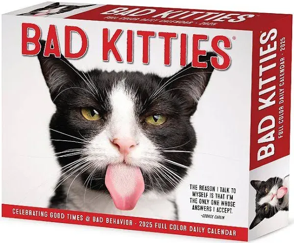 Bad Kitties 2025 Daily Boxed Page-A-Day Calendar