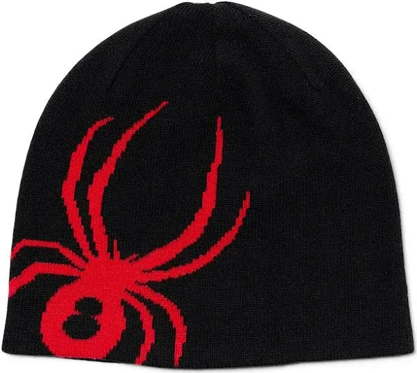 Spyder Men's Arachnid Beanie Hat