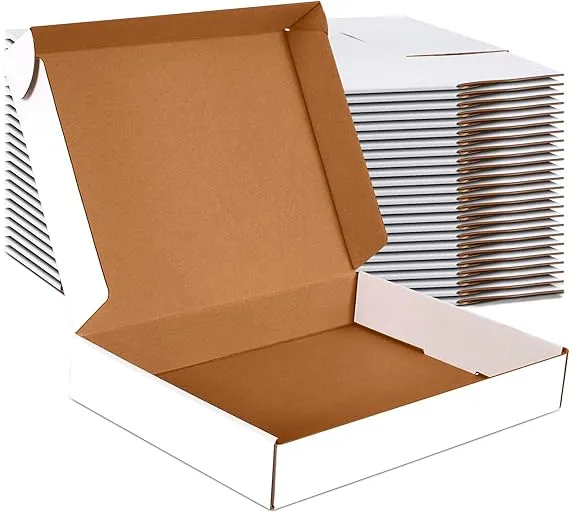 13x10x2 inch Small Shipping Boxes Set of 25, White Corrugated Cardboard Box Literature Mailer for Mailing Packing Moving and Storage