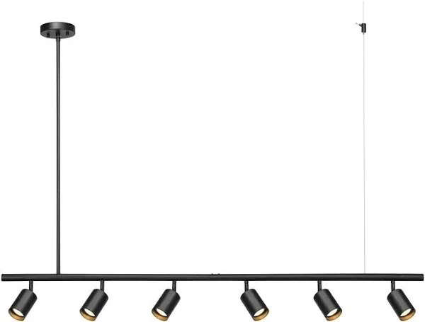 Globe Electric 64000123 55" 6-Light Adjustable Height Track Lighting