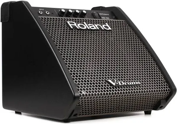 Roland PM-100 Personal Drum Monitor