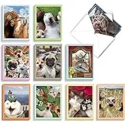 The Best Card Company - 20 Blank Note Cards with Envelopes (4 x 5.12 Inch) - All Occasion Animal Card Assortment (10 Designs, 2 Each) - Animal Selfies AM2373OCB-B2x10