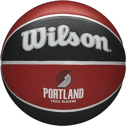 WILSON NBA Alliance Series Basketballs - Team Logo Basketballs - 29.5" and Mini Sizes