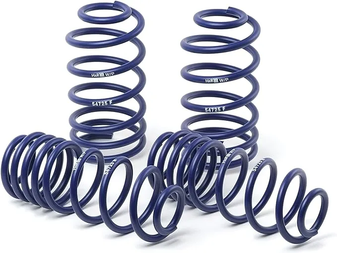 H&amp;R Special Springs LP Coil Spring Lowering Kit - Sport Spring Kit