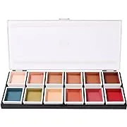 Narrative Cosmetics 12 Color Flesh Tone Alcohol Activated Palette