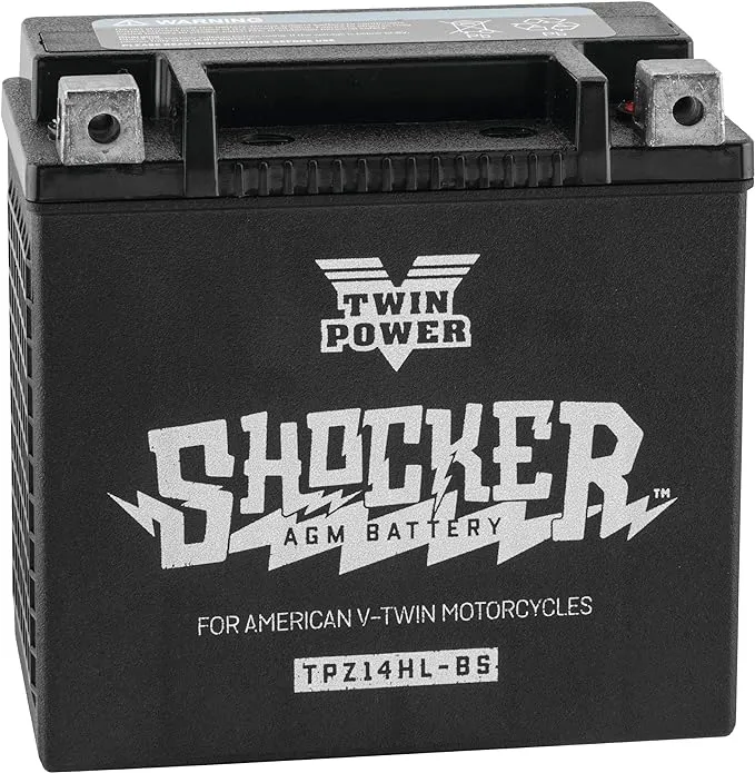 Twin Power Shocker Batteries