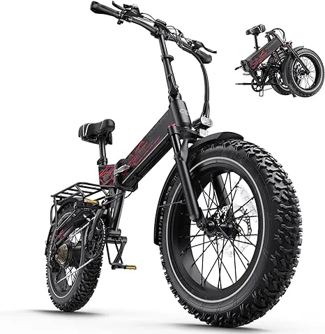 PUCKIPUPPY Electric Bike, Folding Electric Bike 750W 48V 20Ah Removable Battery ...