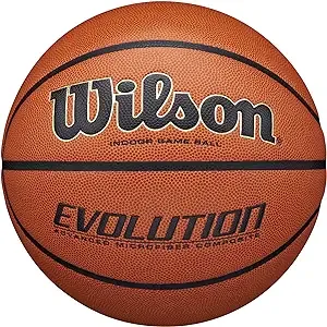 Wilson Evolution Game Basketball